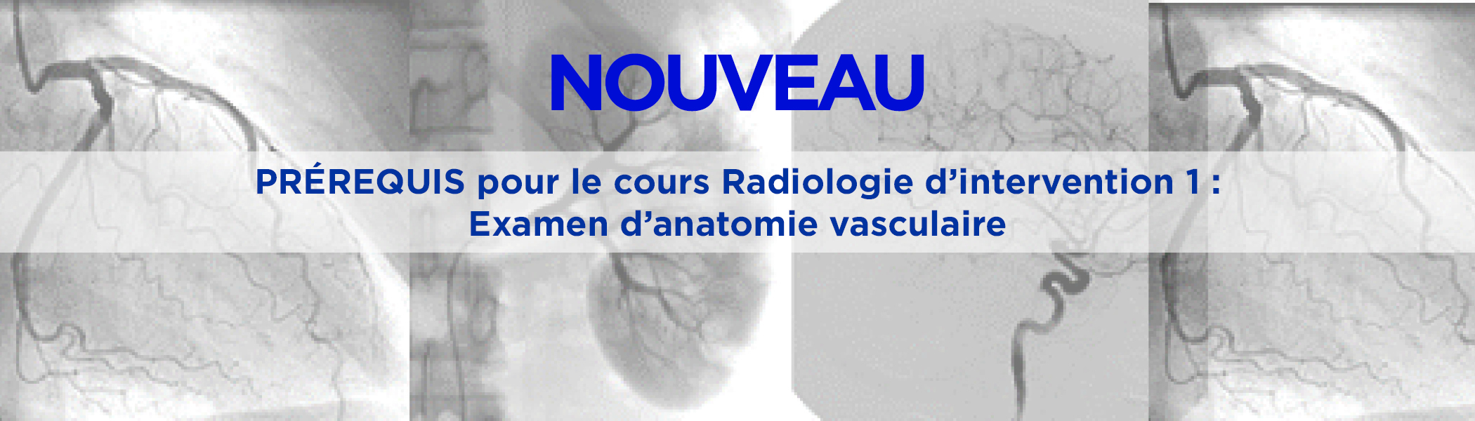 IR-Banner_Blue_FRENCH